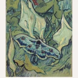 Giant Peacock Moth 1889 Van Gogh Masterpiece Art Print
