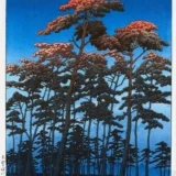 Hikawa Park Omiya by Kawase Hasui Fine Woodblock Art Print