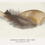 Horn and Feather Print, Georgia O'Keeffe Minimal Bone Art