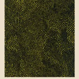 Yayoi Kusama Infinity Nets 2004 Tokyo Exhibition Art Print