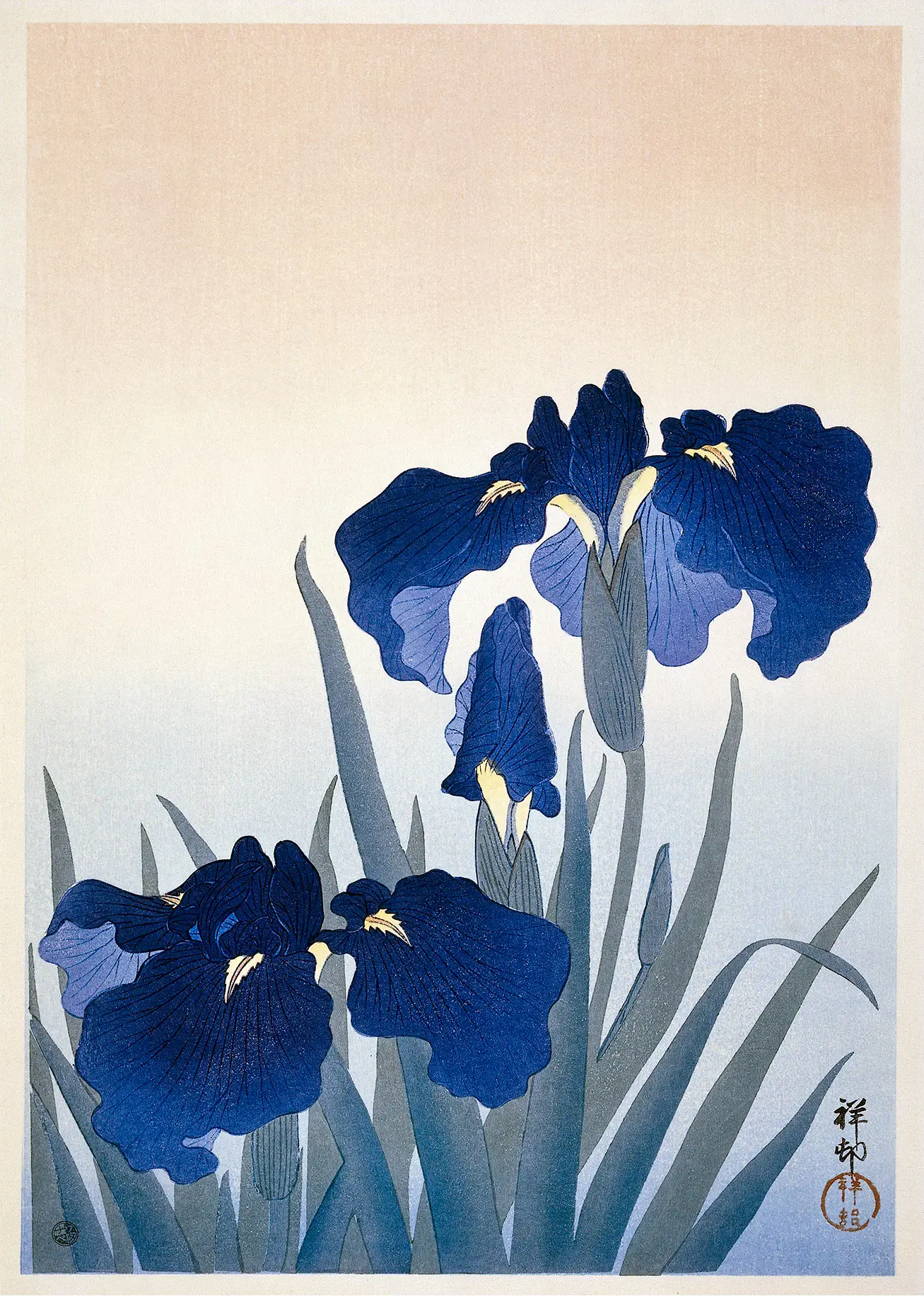 Classic Japanese Iris Print - Vintage Woodblock Floral Wall Art Japanese Iris Print Featuring Deep Blue Woodblock Flowers With Yellow Centers And Green Leaves On A Gradient Background.