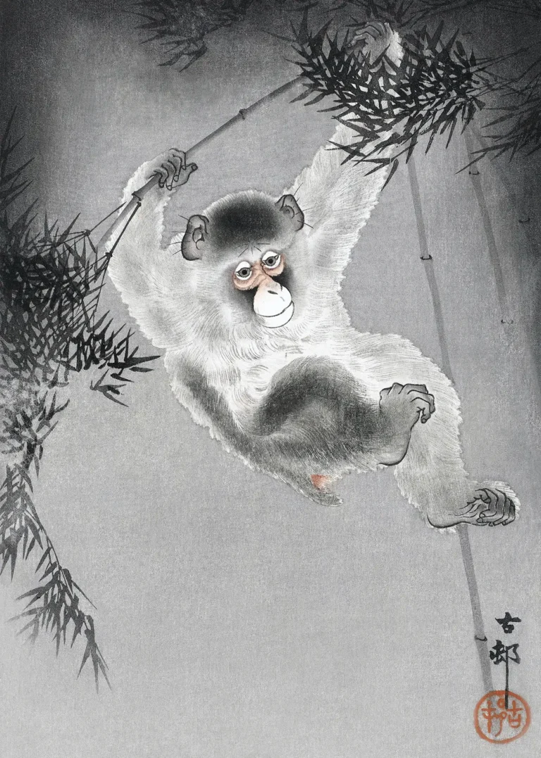 Monkey Hanging Bamboo Branch — detailed Ohara Koson woodblock print featuring a white and grey monkey