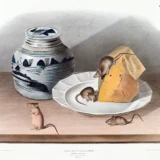 Common Mouse, John James Audubon Naturalist Art Print