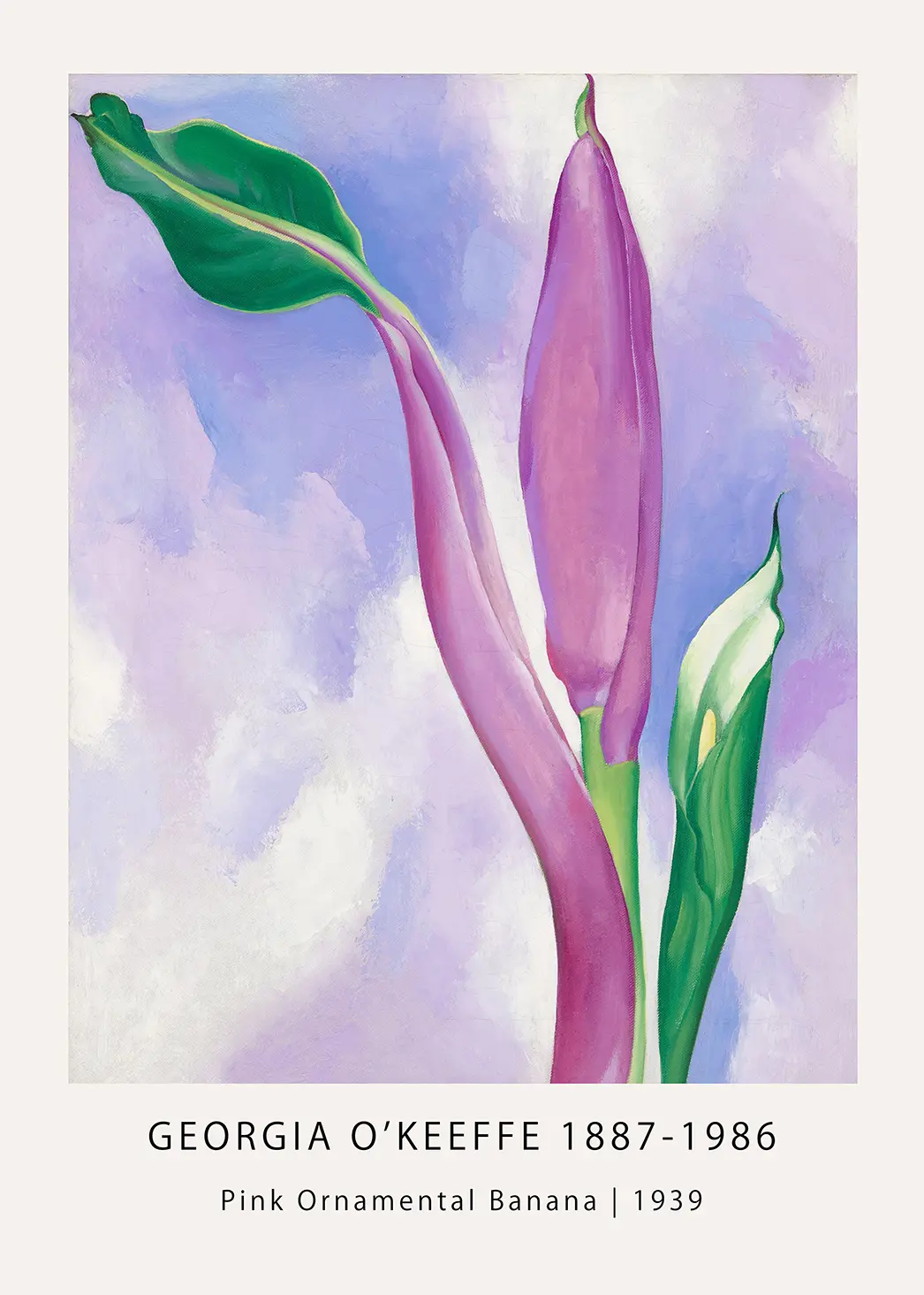 Georgia O'Keeffe print - Pink Ornamental Banana 1939 Modernist Wall Art