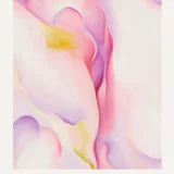 Pink Shell Art Print, Georgia O'Keeffe Soft Abstract Decor