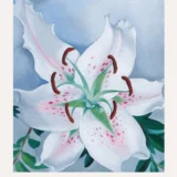 Pink Spotted Lily Print, Georgia O'Keeffe Flower Art