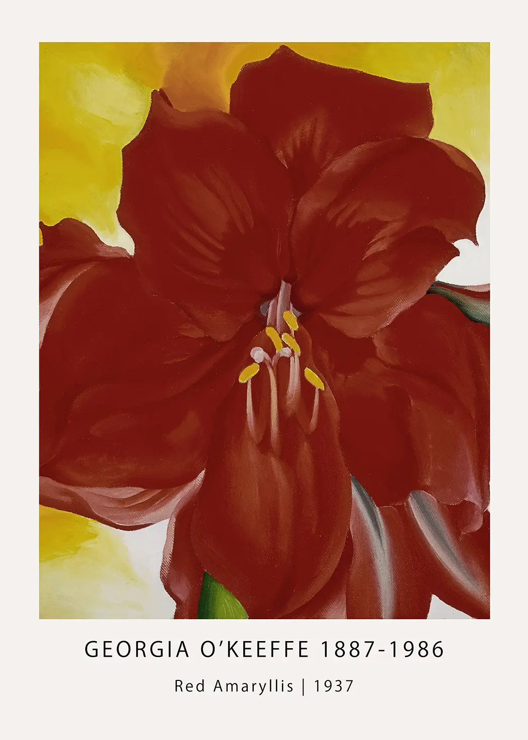 Classic Red Amaryllis print - 1937 Georgia O'Keeffe Botanical Art