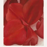 Red Cannas Print, Georgia O'Keeffe Floral Wall Art Print