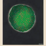 Yayoi Kusama Sun 116 Tokyo 2018 Exhibition Abstract Art Print