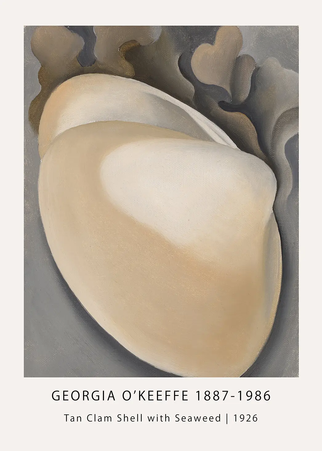 Authentic Georgia O'Keeffe print - Tan Clam Shell with Seaweed 1926 Art