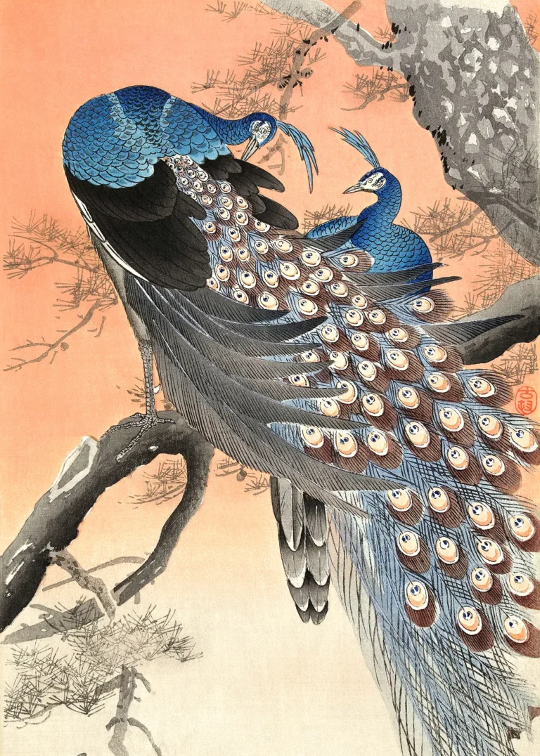 Peacock Woodblock — two peacocks with vibrant blue necks and intricate tail feathers perch