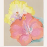 Hibiscus, Georgia O'Keeffe Floral Wall Art Print