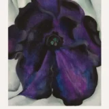 Purple Petunia Print, Georgia O'Keeffe Floral Wall Art Print