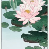 Water Lily Japanese Woodblock, Ohara Koson Art Print