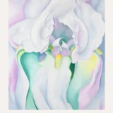 White Iris Print, Georgia O'Keeffe Floral Wall Art Print