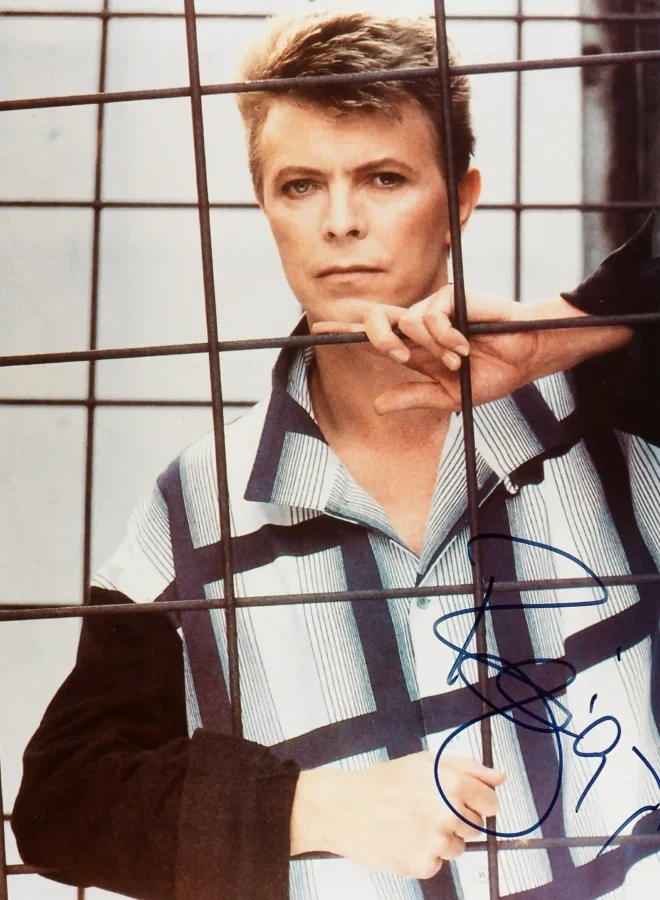 David Bowie Behind Gate — high-contrast portrait of David Bowie posing behind a metal grid gate