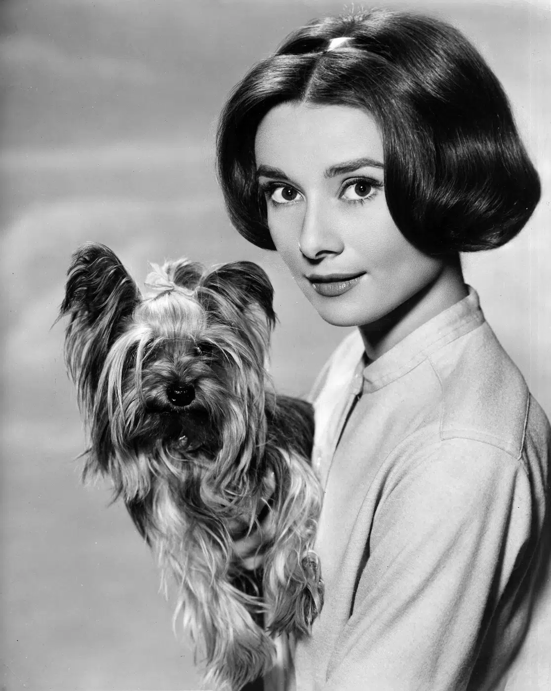 Audrey Hepburn Holding Dog 1960s print showing holding dog 1960s with archival tone