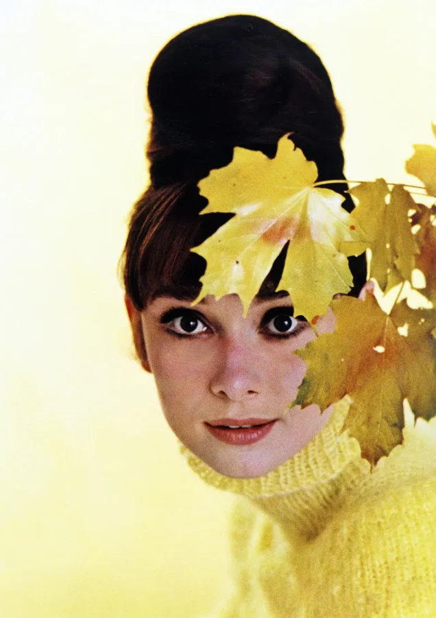 Audrey Hepburn June 1963 wall print with graphic wall character by MerchFuse