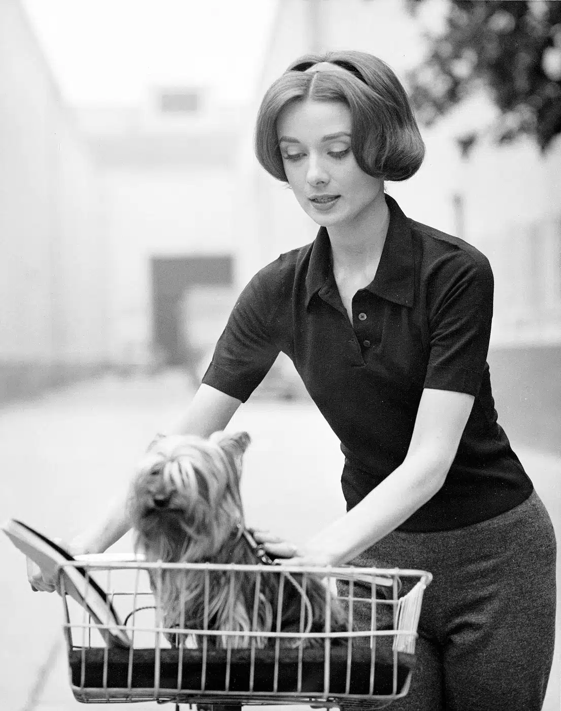 Audrey Hepburn and Mr Famous at print showing and mr. famous at paramount studios, december 1956 with archival tone