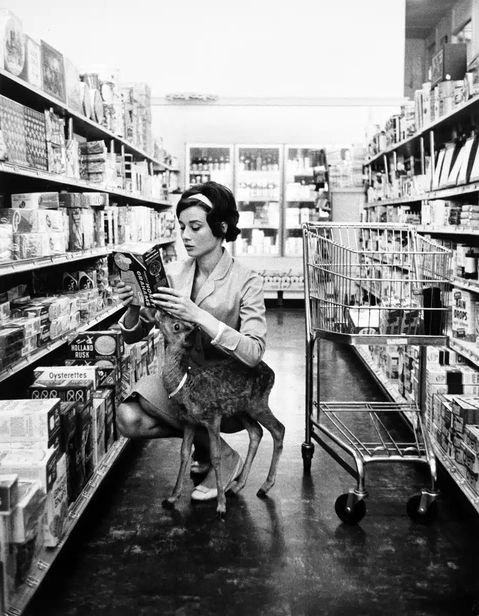 Audrey Hepburn and Pippin Pippin Gelson print showing and pippin (ip), gelson's supermarket, beverly hills with archival ton