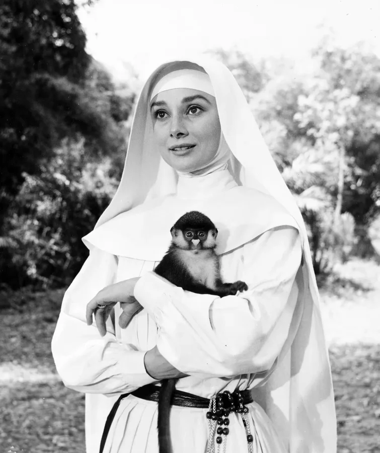 Audrey Hepburn as Sister Luke holding a monkey in a black and white photography print from The Nun's Story.