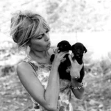 Brigitte Bardot Holding Puppies 1960s Photography Print