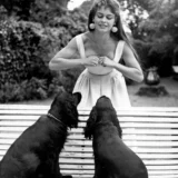 Brigitte Bardot and Her Dogs 1954 Vintage Photography Print