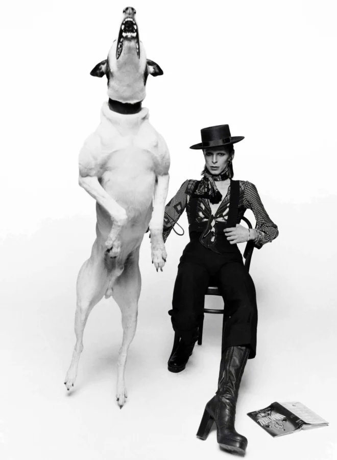 David Bowie dog portrait print showing a black and white studio image with Bowie seated in dramatic styling beside a