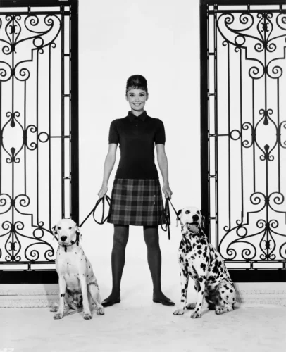 Audrey Hepburn with Dalmatians Publicity Portrait Photography Print