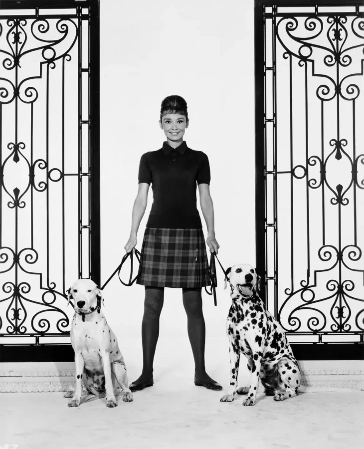 Audrey Hepburn Twelve Publicity Portraits poster for gallery wall display by MerchFuse
