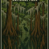 Congaree National Park South Carolina Vintage Travel Poster