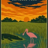 Everglades National Park Florida, Vintage Travel Poster