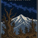 Great Basin National Park Nevada Vintage Bristlecone Art Print