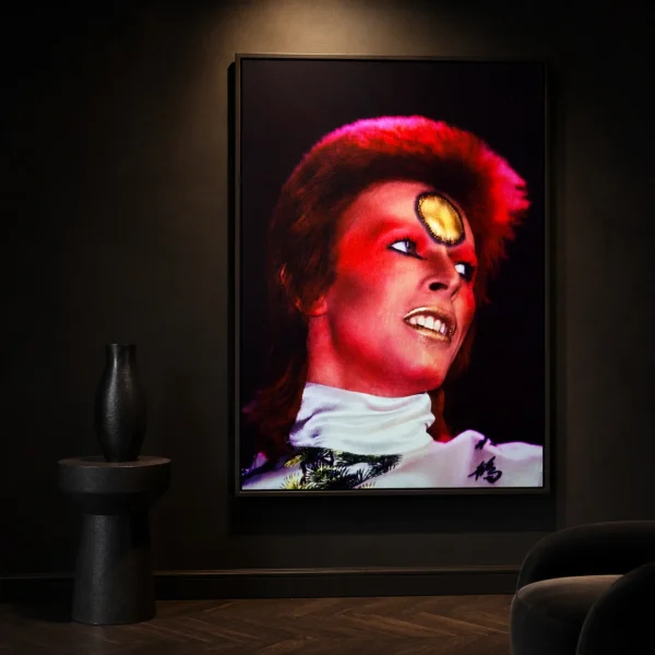 David Bowie Ziggy Stardust Life on Mars Portrait Wall Photography Print