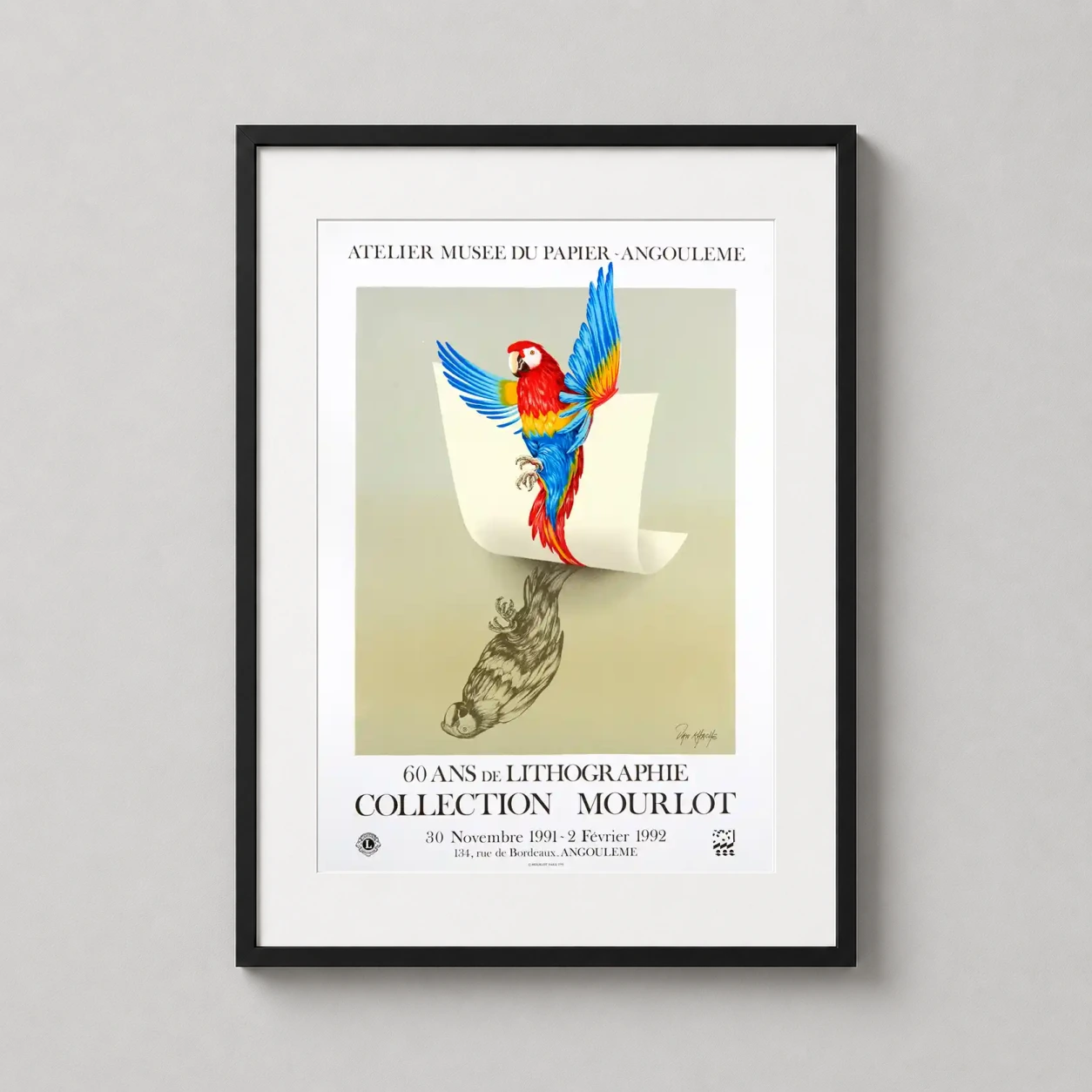 Dan van Khache Macaw — vibrant red and blue macaw parrot takes flight from a curved sheet of