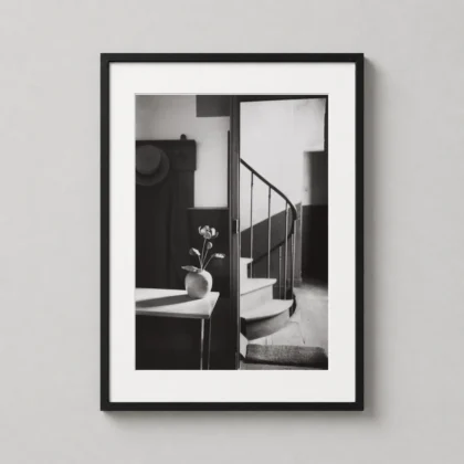 MerchFuse Andre Kertesz Stairs photography print with photography character