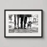 Elliott Erwitt Dog Legs New York City Photography Print