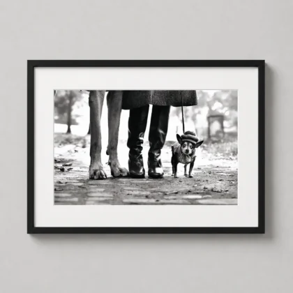 Elliott Erwitt Dog Legs New York City Photography Wall Art