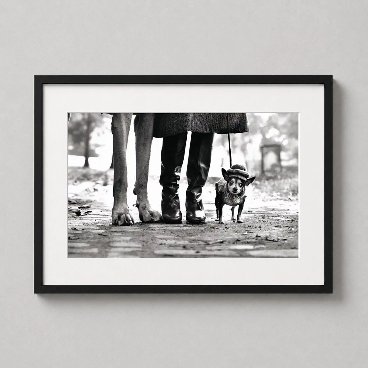 Elliott Erwitt Dog Legs — witty black and white photograph by Elliott Erwitt featuring a small