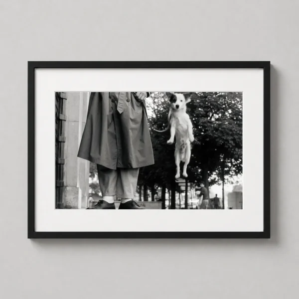 Elliott Erwitt Paris Dog Jump Fine Art Photography Print