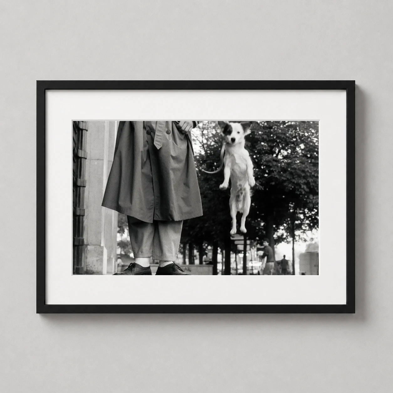 Elliott Erwitt Paris Dog — small white dog with a black eye patch leaps high into the air beside