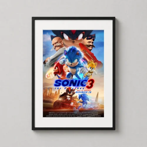 Sonic the Hedgehog 3 Movie Shadow and Sonic Cast Movie Poster