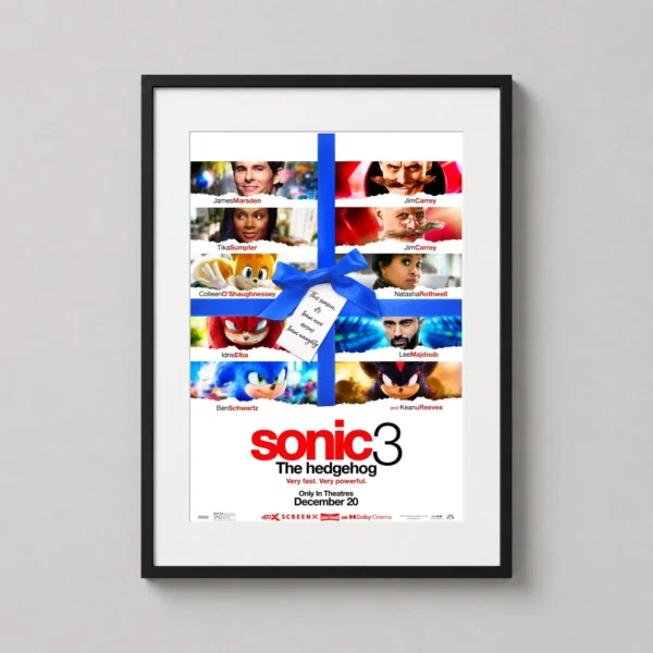 Sonic the Hedgehog 3 Movie Team Nice vs Naughty Movie Poster