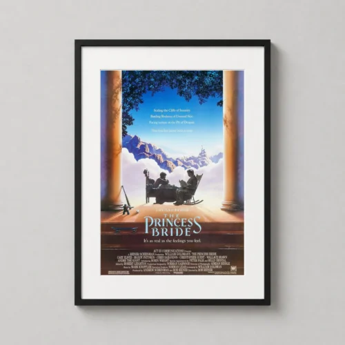 The Princess Bride 1987 Film Bedroom Scene Movie Poster