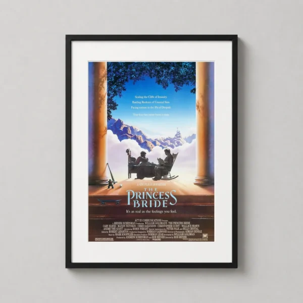 The Princess Bride 1987 Film Bedroom Scene Movie Poster