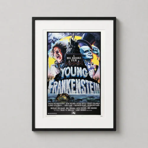Young Frankenstein 1974 Mel Brooks Comedy Classic Movie Poster