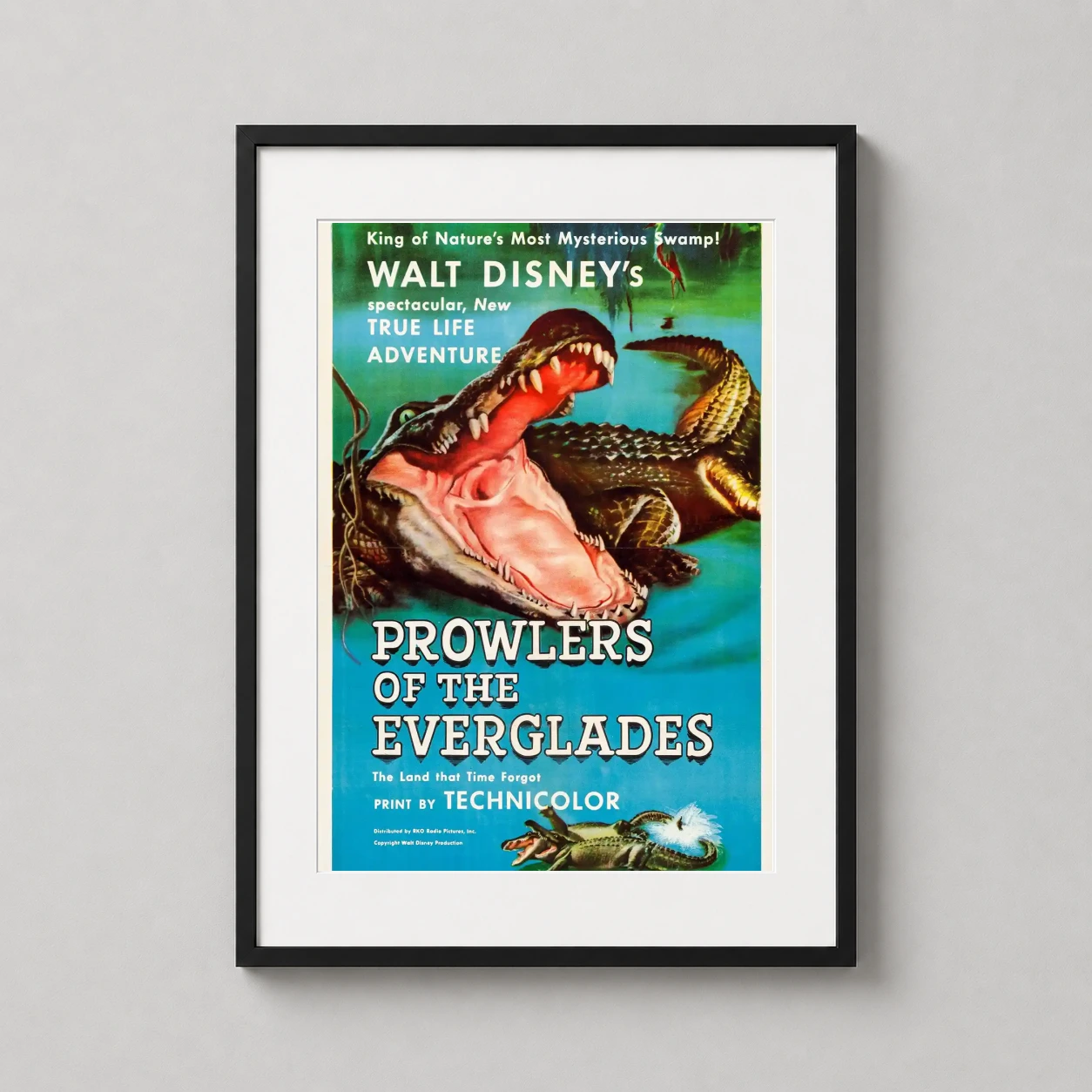 Room mockup of Prowlers of the Everglades Vintage Walt Disney Movie Poster, displayed as framed wall art in a home theater setting as a portrait print with teal and red tones.
