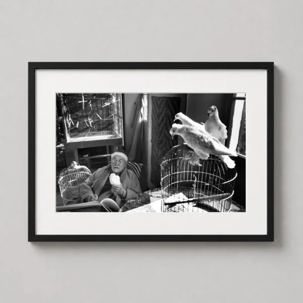 Henri Matisse in Vence 1944 Portrait Photography Print