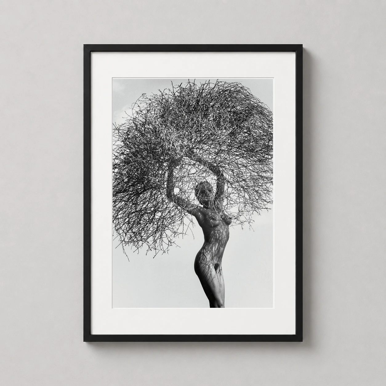 Herb Ritts Neith Tumbleweed — this high-contrast black and white Herb Ritts photography print