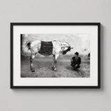 Josef Koudelka Romania Gypsy with Horse 1968 Photography Print